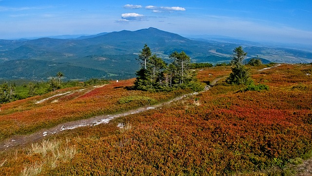 Co vám dá pobyt v Beskydech v boji proti stresu